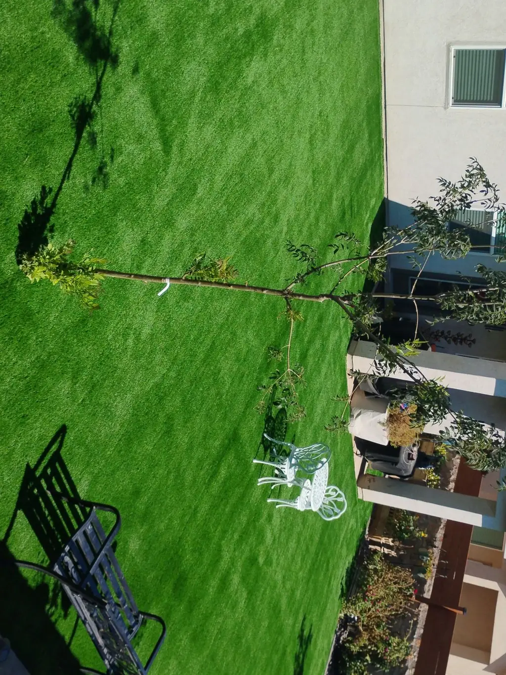 Backyard turf install with young tree and bistro set